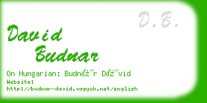 david budnar business card